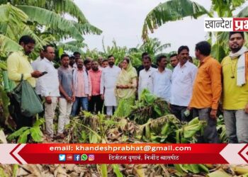 खा. स्मिताताई वाघ यांनी अतिवृष्टीमुळे नुकसान झालेल्या शेतकरी बांधवांची घेतली भेट