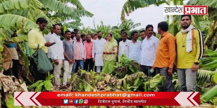 खा. स्मिताताई वाघ यांनी अतिवृष्टीमुळे नुकसान झालेल्या शेतकरी बांधवांची घेतली भेट