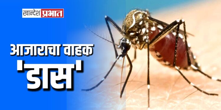 पावसाळ्यात डासांपासून आपला बचाव करा !..