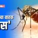 पावसाळ्यात डासांपासून आपला बचाव करा !..