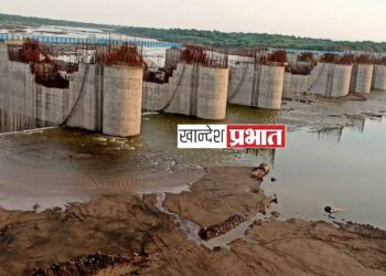 निम्न तापी प्रकल्प पूर्णत्वाकडे वाटचालीचा मार्ग मोकळा