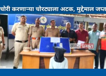 गिरणीत चोरी करणाऱ्या चोरट्याला अटक, मुद्देमाल जप्त
