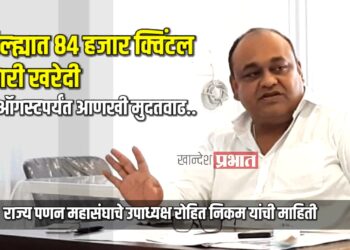 शासनाकडून जिल्ह्यात ८४ हजार क्विंटल ज्वारी खरेदी | ३१ ऑगस्टपर्यंत आणखी मुदतवाढ