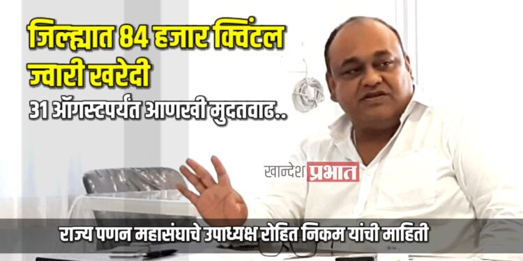 शासनाकडून जिल्ह्यात ८४ हजार क्विंटल ज्वारी खरेदी | ३१ ऑगस्टपर्यंत आणखी मुदतवाढ
