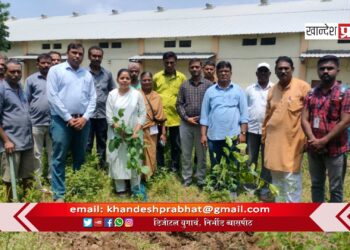 वखार महामंडळाच्या शासकीय गोदाम परिसरात वृक्षारोपण