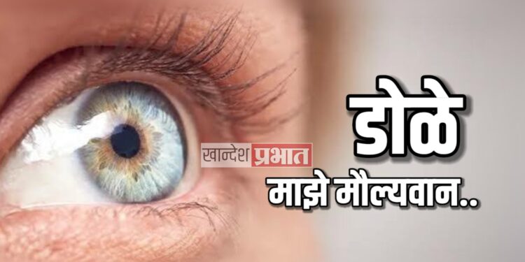 ‘डोळे माझे मौल्यवान’ या विषयावर आज जळगावच्या कांताई नेत्रालयात कार्यक्रम