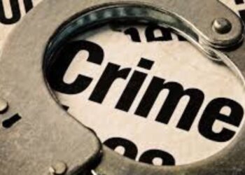 भेसळीच्या संशयातून ३५८ किलो खाद्यतेल जप्त