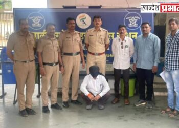 जिल्ह्यातून हद्दपार झालेल्या आरोपीला अटक