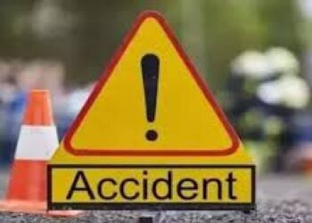 कुत्रे आडवे आल्याने रिक्षा झाली पलटी ; तरुण ठार