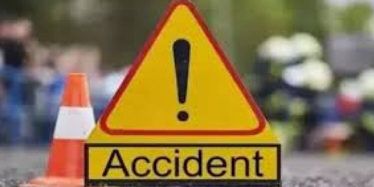 कुत्रे आडवे आल्याने रिक्षा झाली पलटी ; तरुण ठार