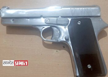 एरंडोल येथे गावठी पिस्तूल बाळगून दहशत माजविणारा जेरबंद