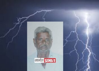 शेतात काम करताना वीज पडून शेतकऱ्यासह म्हैस ठार
