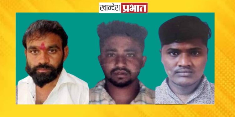 जळगाव जिल्ह्यातील तिघांवर एमपीडीए कायद्यांतर्गत कारवाई