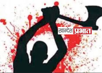 खुनाचे सत्र सुरूच ; भावानेच भावाला कुहाडीने वार करून संपविले !