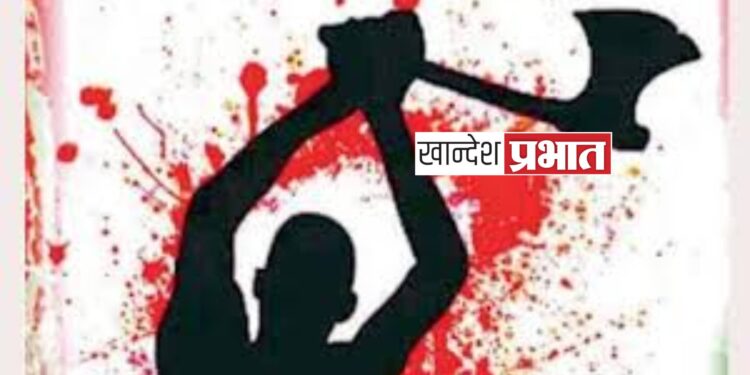 खुनाचे सत्र सुरूच ; भावानेच भावाला कुहाडीने वार करून संपविले !