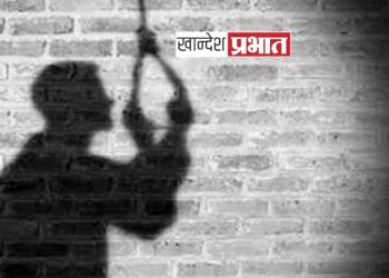 बाजारात आईवडिलांना पाठवून तरुणाने उचलले टोकाचे पाऊल !