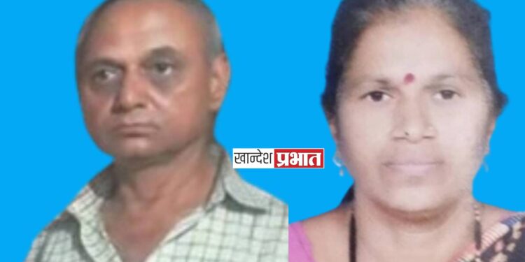 ट्रकच्या धडकेत दाम्पत्य ठार ; एरंडोल जवळील घटना