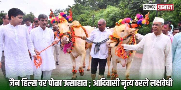 जैन हिल्स वर पोळा उत्साहात ; आदिवासी नृत्य ठरले लक्षवेधी