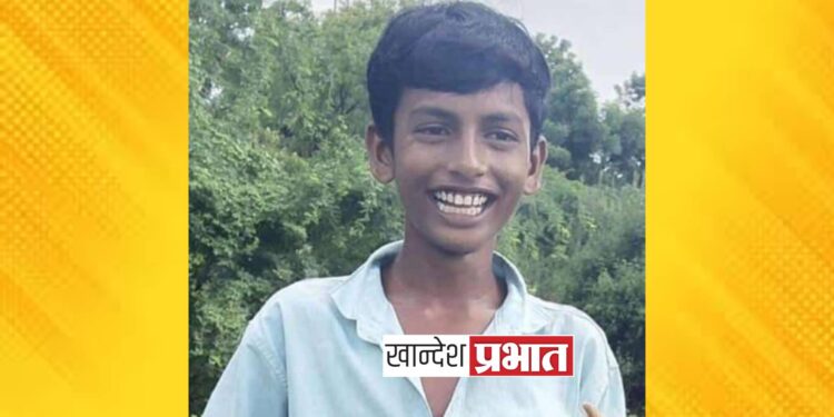 बैलांसाठी साज घेण्यास गेलेल्या तरुणाला ट्रकने चिरडले !