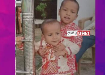 दोन चिमुकल्या भावांचा नाल्याच्या पाण्यात बुडून मृत्यू