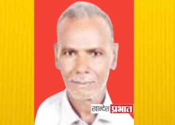 शेतात काम करणाऱ्या शेतकऱ्याचा सर्पदंशाने मृत्यू