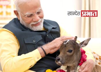 पंतप्रधान नरेंद्र मोदींच्या घरी आला ‘दीपज्योती’ !