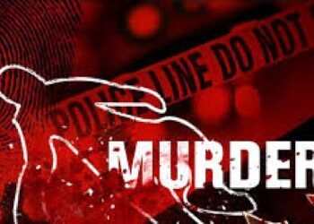 ३० लाखांसाठी वृद्ध महिलेचा खून ; दोघांना अटक