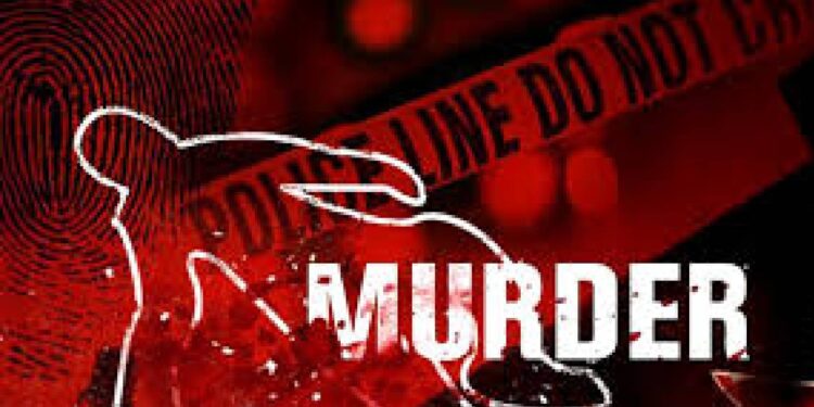 ३० लाखांसाठी वृद्ध महिलेचा खून ; दोघांना अटक