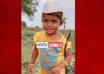 बिबट्याच्या हल्ल्यात २ वर्षीय चिमुकलीचा मृत्यू