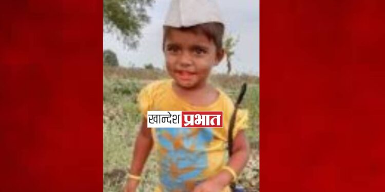 बिबट्याच्या हल्ल्यात २ वर्षीय चिमुकलीचा मृत्यू