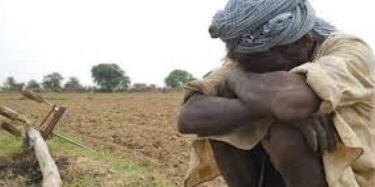 नैसर्गिक आपत्तीग्रस्त शेतकऱ्यांना मिळणार आता इतकी हेक्टरी भरपाई