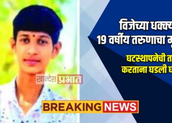 विजेच्या धक्क्याने १९ वर्षीय तरुणाचा मृत्यू ; घटस्थापनेची तयारी करताना घडली घटना