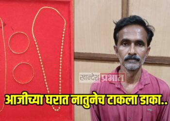 आजीच्या घरात नातुनेच टाकला डाका