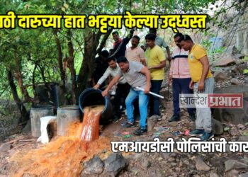 गावठी दारुच्या हात भट्टया केल्या उद्ध्वस्त