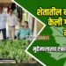 शेतातील बांधावर गांजाची लागवड ; मुद्देमालासह एकाला अटक