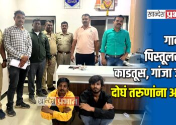 गावठी पिस्तूल, काडतूस, गांजा जप्त ; दोघं तरुणांना अटक