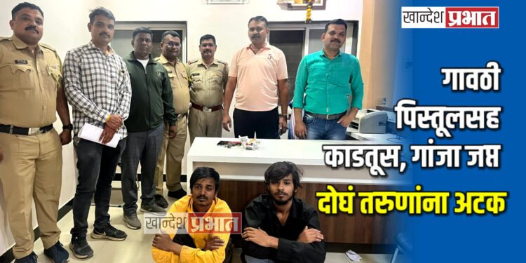 गावठी पिस्तूल, काडतूस, गांजा जप्त ; दोघं तरुणांना अटक