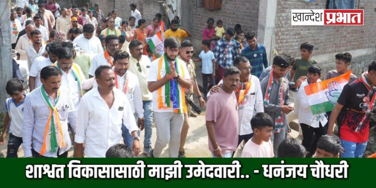 मतदारसंघाचा शाश्वत विकासासाठी माझी उमेदवारी.. – धनंजय चौधरी