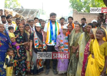 विकासाला पुन्हा गतिमान करण्यासाठी मला साथ द्या.. – धनंजय चौधरी