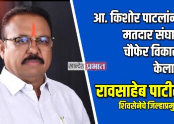 आ. किशोर पाटलांनी चौफेर विकास केल्याचा रावसाहेब पाटील यांचा दावा