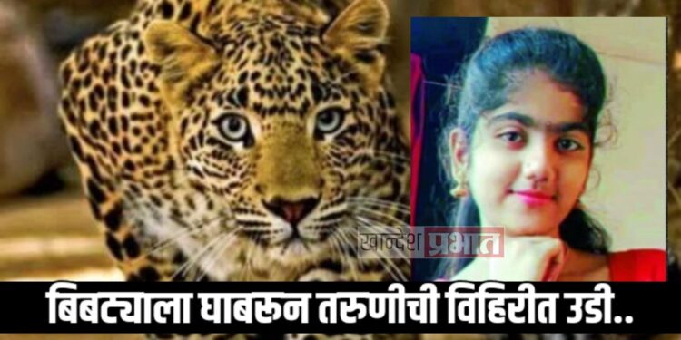 बिबट्याला घाबरून तरुणीची विहिरीत उडी ; बुडून झाला मृत्यू