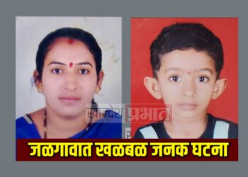 आधी मुलीला दिला गळफास नंतर आईने केली आत्महत्या !