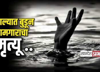 नाल्यात बुडून कामगाराचा मृत्यू ; जळगावच्या एमआयडीसीतील घटना