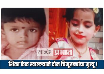शिळा केक खाल्ल्याने दोन चिमुरड्यांचा मृत्यू ; कोल्हापुरातील घटना