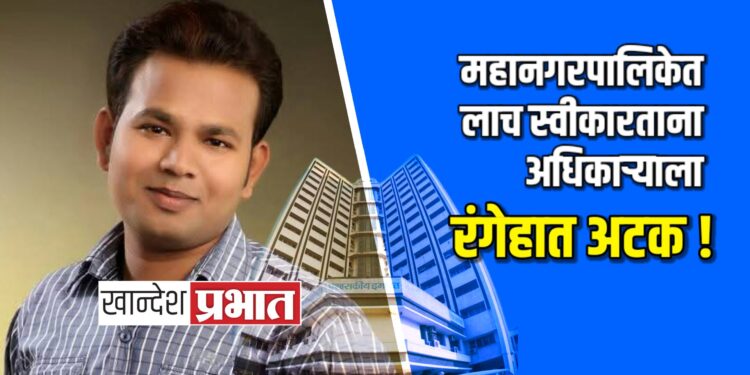 जळगाव महानगरपालिकेत लाच स्वीकारताना अधिकाऱ्याला रंगेहात अटक !