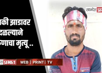 दुचाकी झाडावर आदळल्याने तरुणाचा मृत्यू ; जामनेर तालुक्यातील घटना