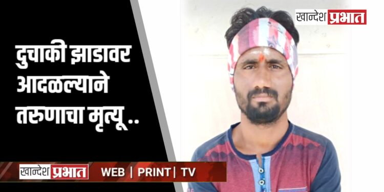 दुचाकी झाडावर आदळल्याने तरुणाचा मृत्यू ; जामनेर तालुक्यातील घटना