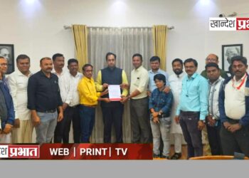 पत्रकार संघटनेतर्फे जिल्हाधिकारी यांना निवेदन