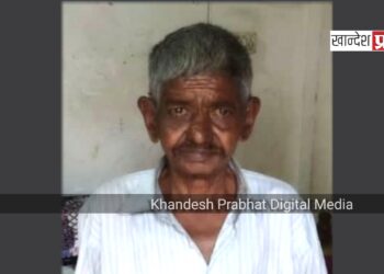 अज्ञात वाहनाच्या धडकेत वृद्ध ठार ; महामार्गावरील घटना