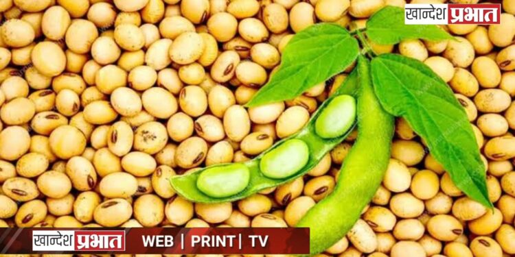 सोयाबीन व भरडधान्य खरेदीच्या नोंदणीसाठी शासनाकडून ३१ डिसेबरपर्यंत मुदतवाढ